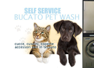 lavanderia-bucato-per-animali-self-service-bisceglie